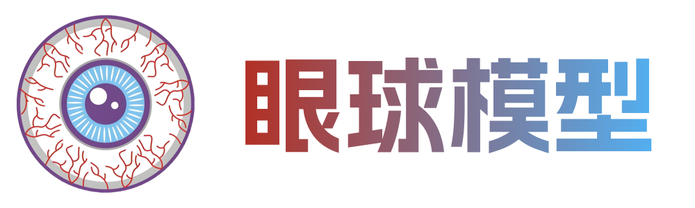 眼球模型